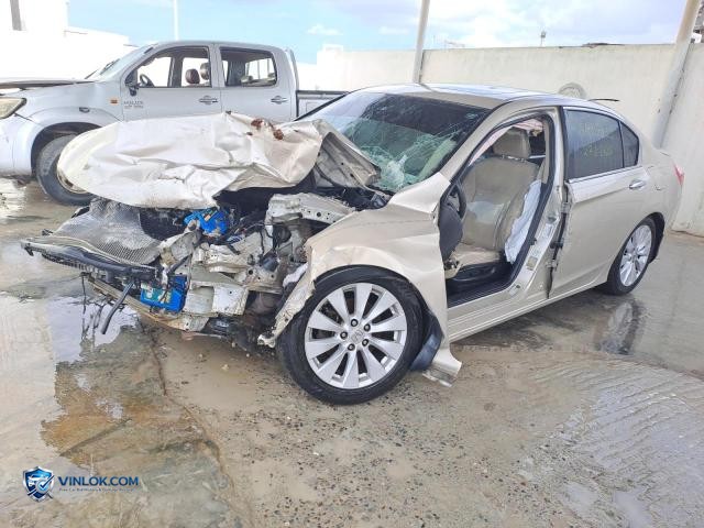 Auction photo