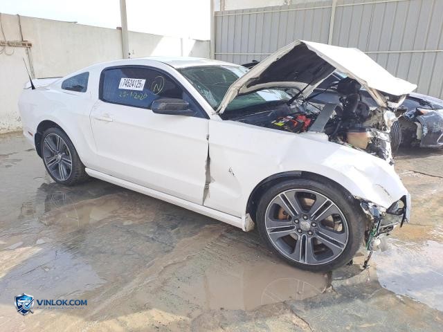 Auction photo