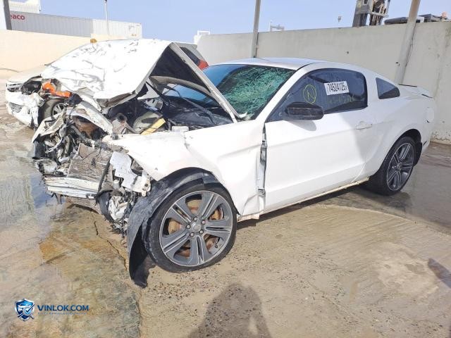 Auction photo
