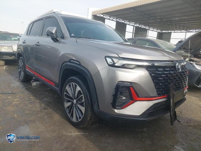 2024 CHAN CS35 PLUS — Lot 74529765 auction photo