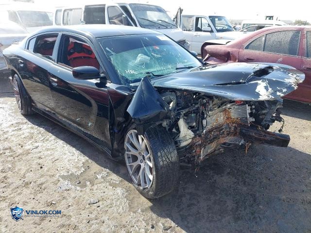 Auction photo