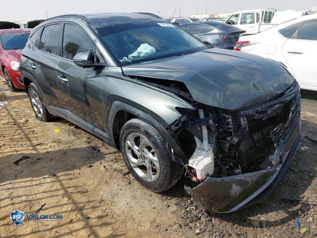 Auction photo