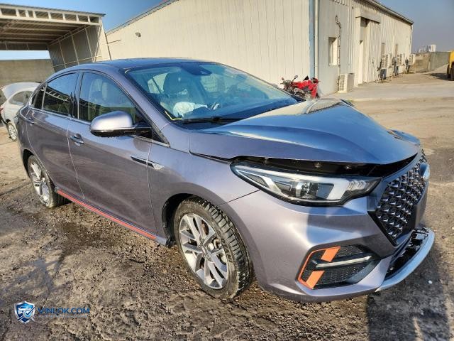 2023 CHER ARRIZO 6 — Lot 75097355 auction photo