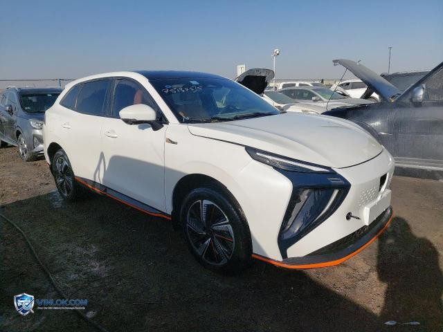 2024 DONG FORTHING — Lot 75132515 auction photo