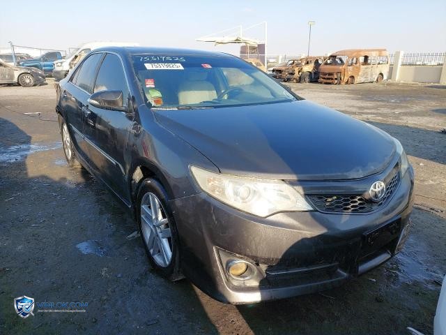 Auction photo