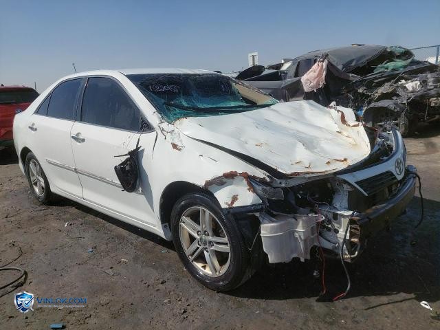Auction photo