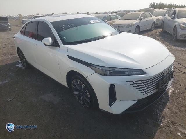 2025 CHAN EADO PLUS — Lot 75322585 auction photo