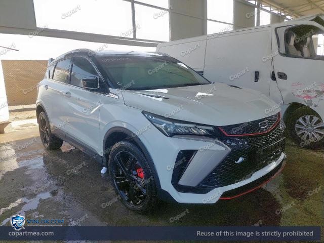 Auction photo