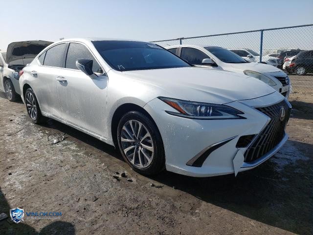 2023 LEXUS ES 300H PR — Lot 75325845 auction photo