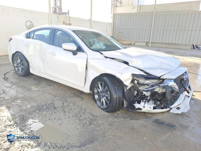 Auction photo