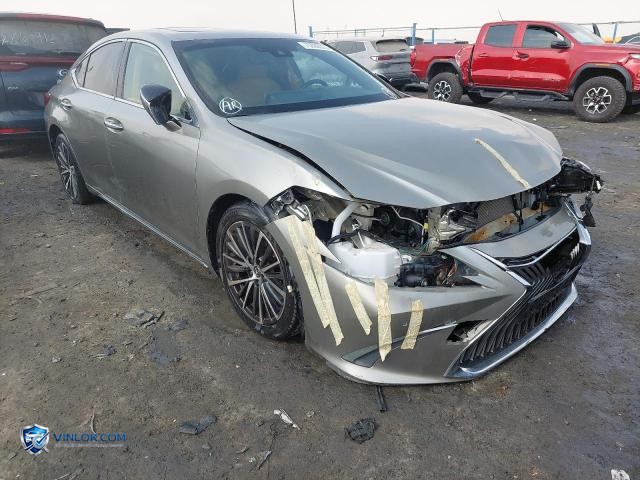 Auction photo