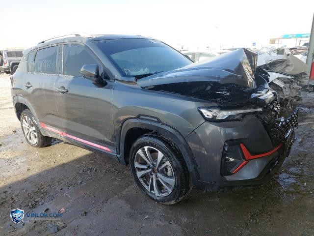 2025 CHAN CS35 PLUS — Lot 75893245 auction photo
