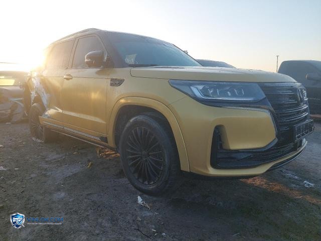 2020 CHAN CS95 — Lot 76088815 auction photo