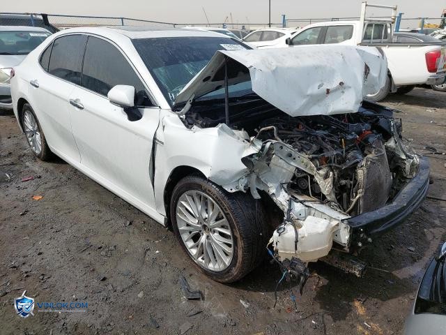 Auction photo