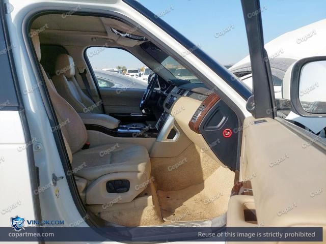 Auction photo