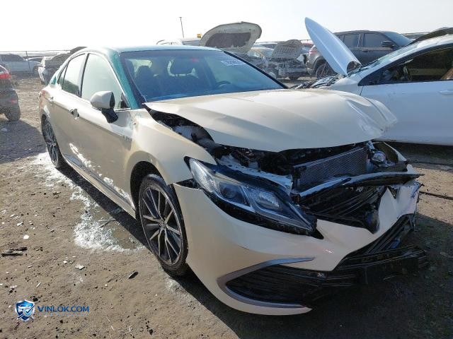 Auction photo