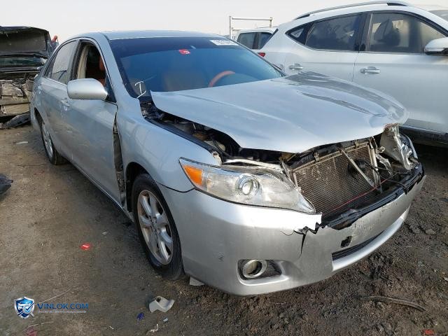 Auction photo