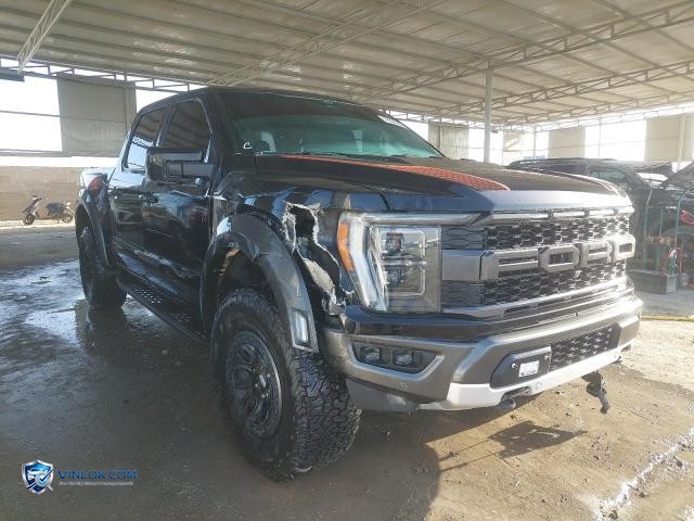 2022 FORD F150 RAPTO — Lot 76506495 auction photo