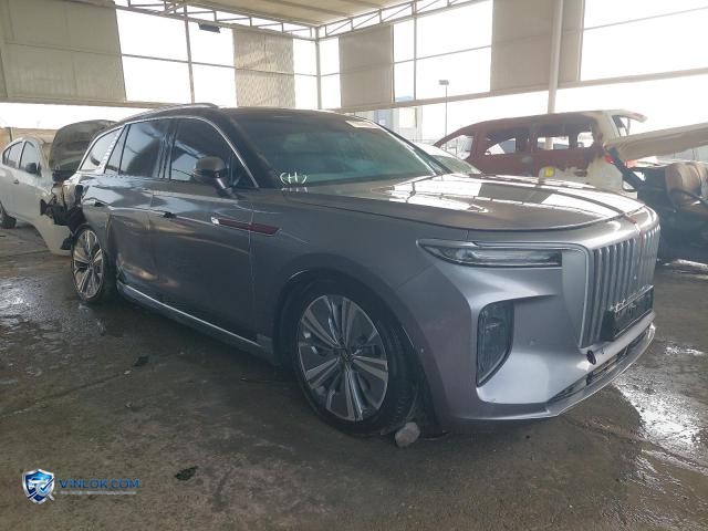 2023 HNGQ EHS9 — Lot 76674995 auction photo