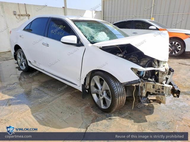 Auction photo