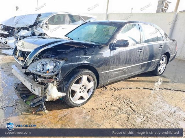 Auction photo