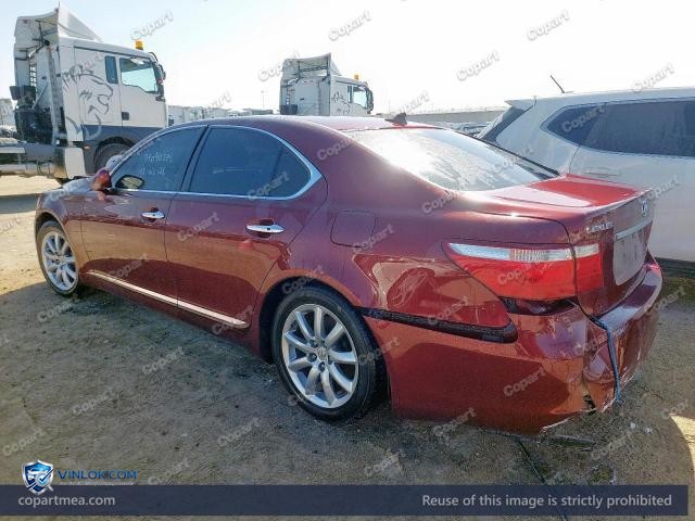 Auction photo