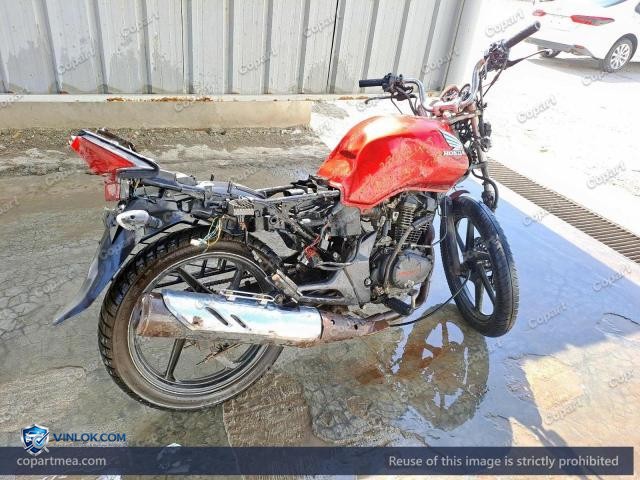 Auction photo