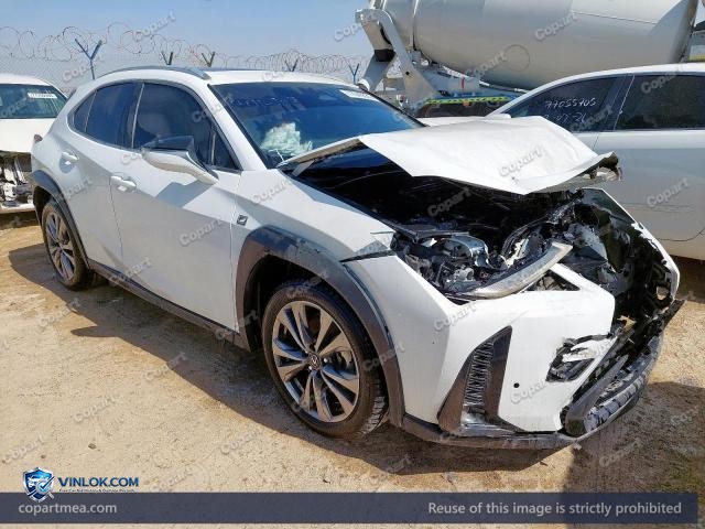 Auction photo