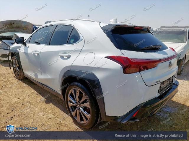 Auction photo