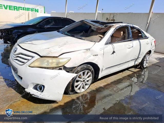 Auction photo