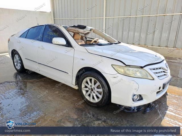Auction photo