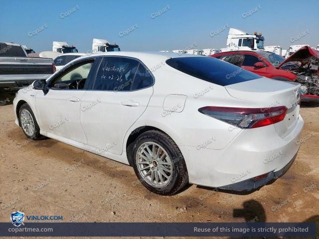 Auction photo