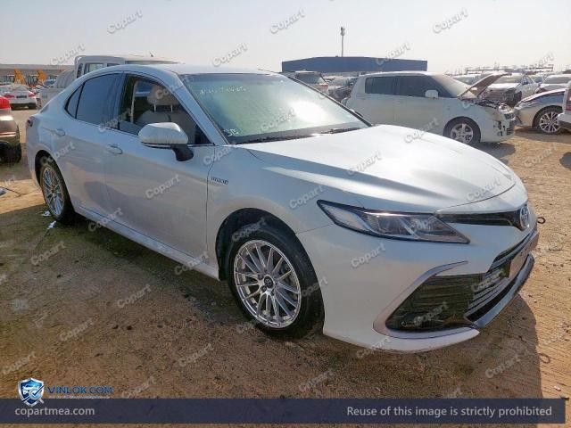 Auction photo