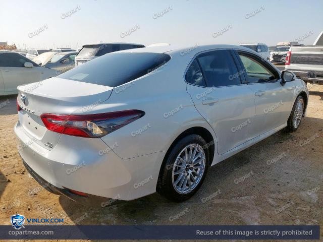 Auction photo