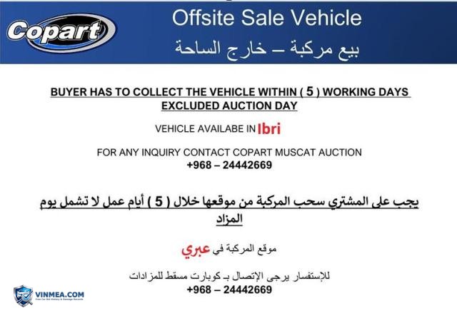 Auction photo
