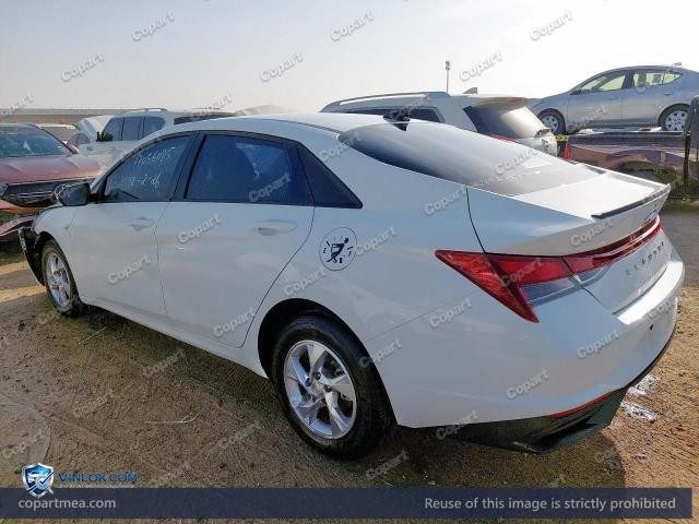 Auction photo