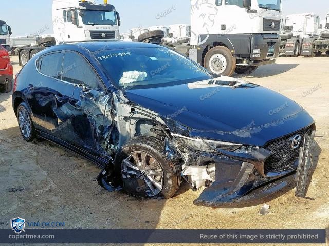 Auction photo
