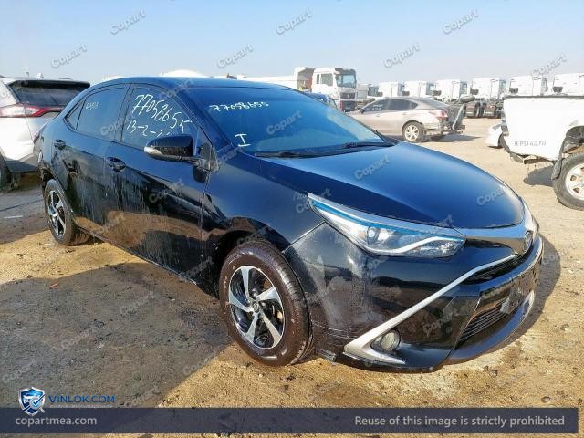 Auction photo