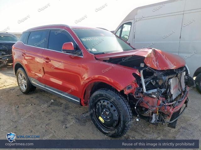 Auction photo