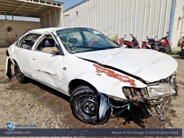 Auction photo
