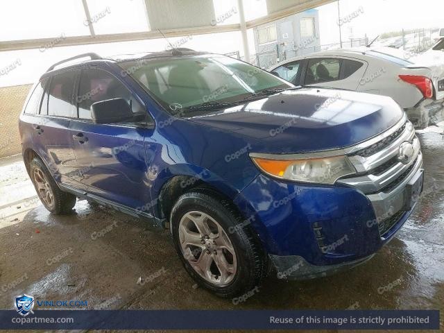 Auction photo