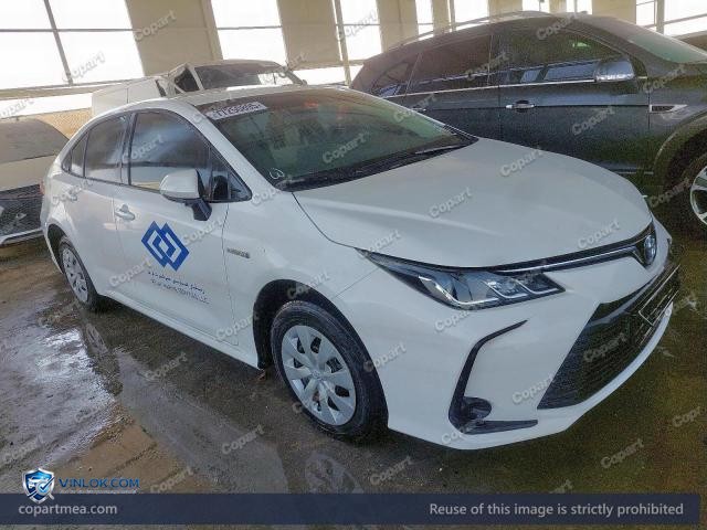 Auction photo