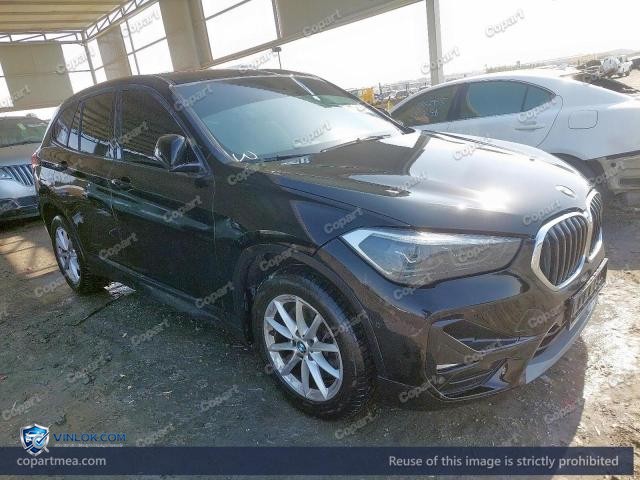 Auction photo