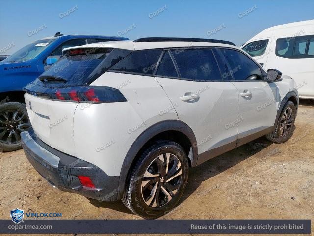 Auction photo