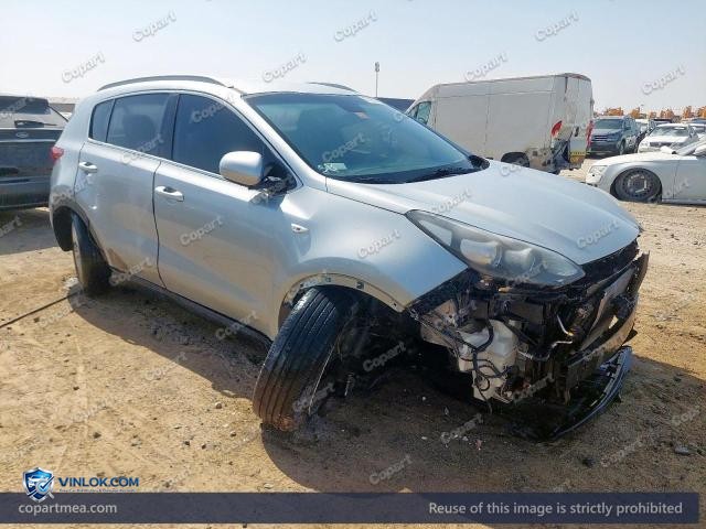 Auction photo
