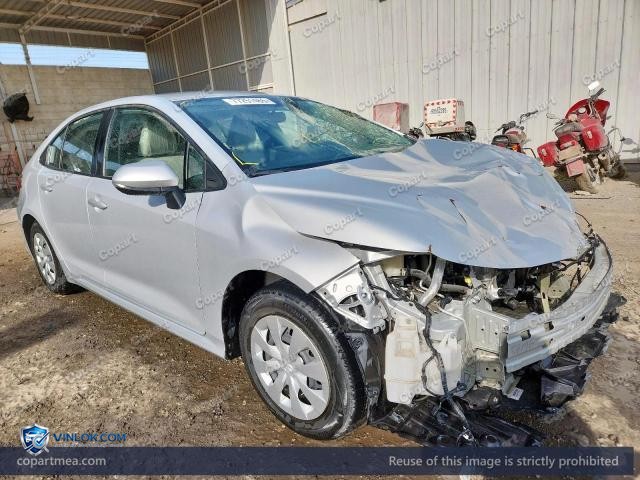 Auction photo