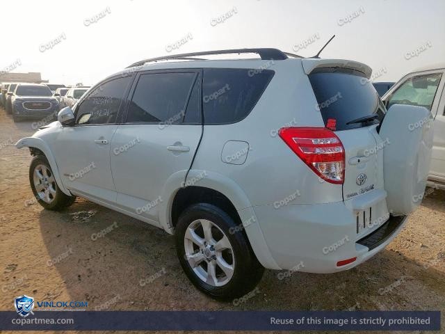 Auction photo