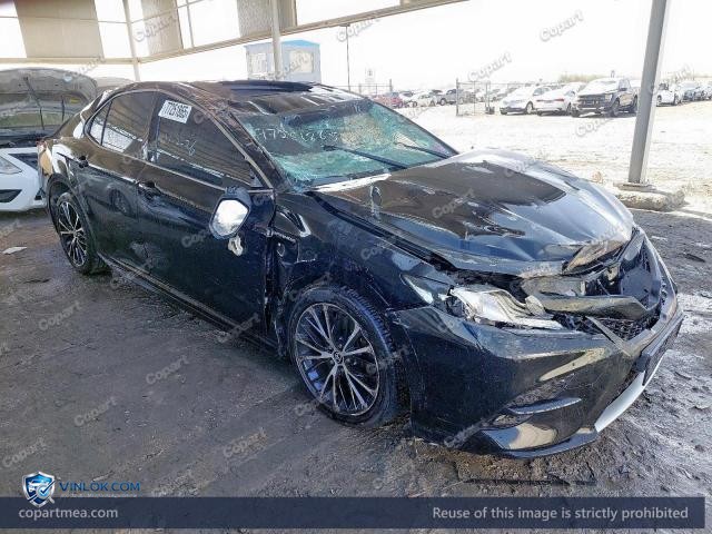 Auction photo