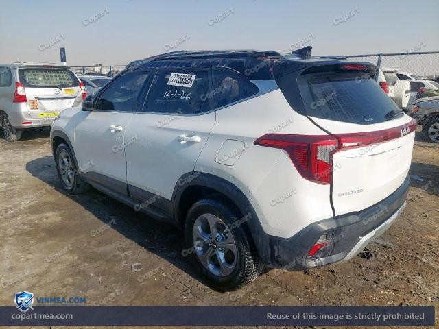 Auction photo