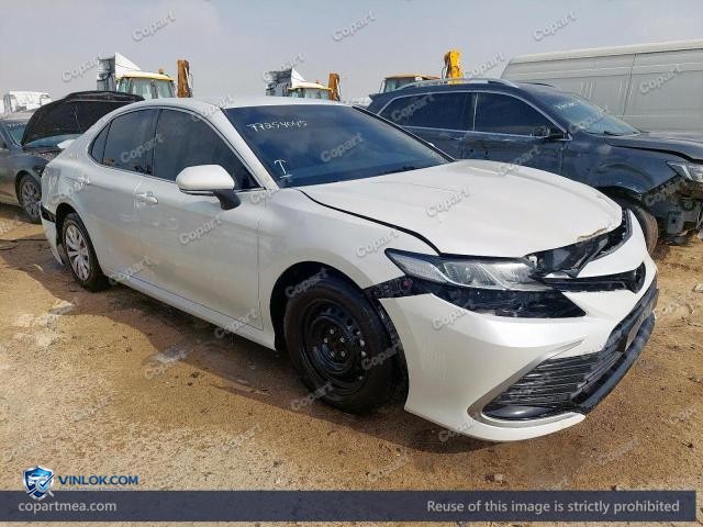Auction photo